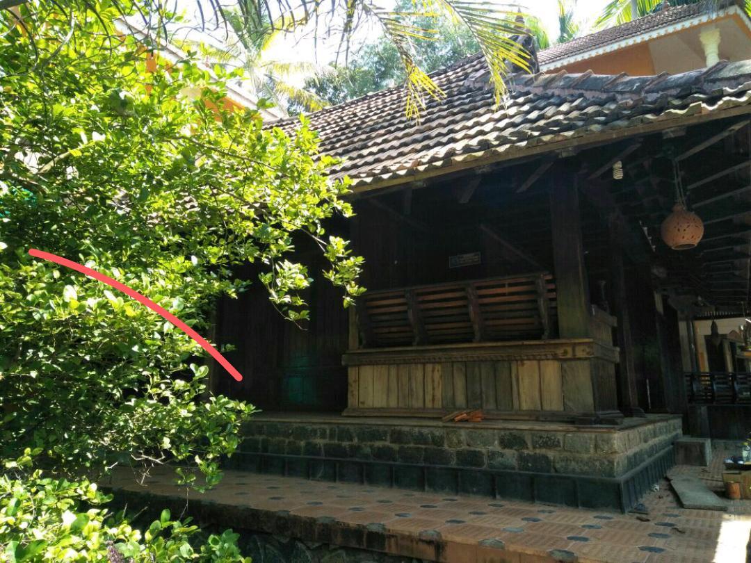 特里凡得琅Thriphala Ayurveda Yogashram公寓 外观 照片